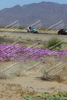 media/Feb-04-2023-SoCal Trackdays (Sat) [[8a776bf2c3]]/Turn 15 Inside Blooming (1050am)/